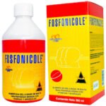FOSFONICOLE JARABE - Suplemento Nutricional