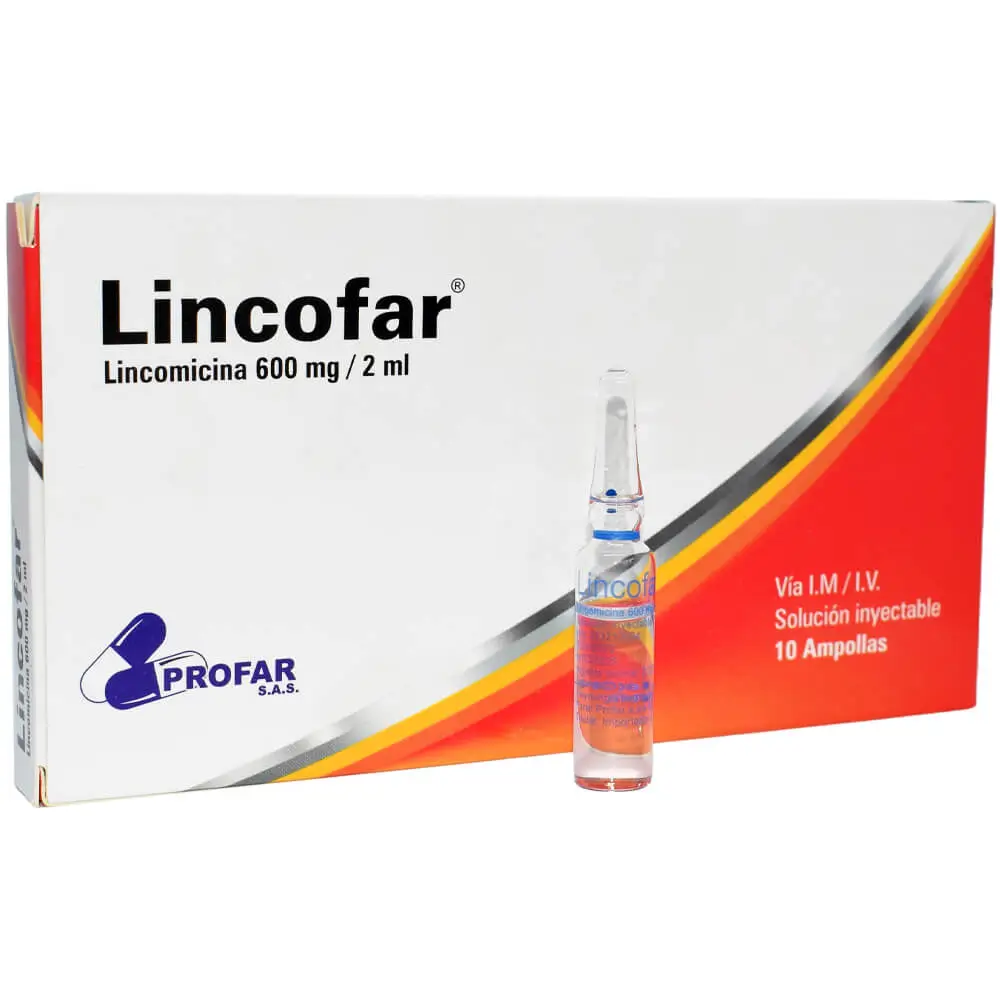 LINCOFAR LINCOFAR - Imagen 1