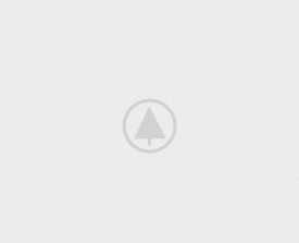 wood-portfolio-placeholder wood-portfolio-placeholder